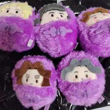 닌자 타마 4학년 싸개 타피누이