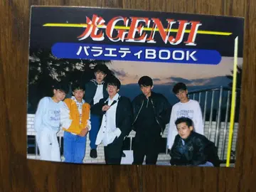 빛 GENJI 카드 종이 29