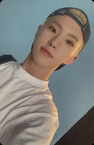 SEVENTEEN HOSHI DREAM CARAT반 트레이딩 카드 그린
