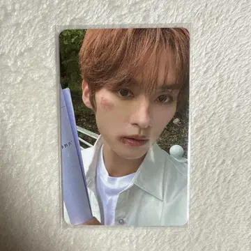 리노 트레이딩 카드