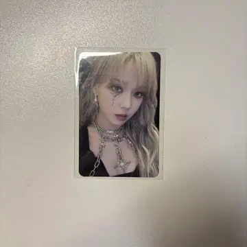 윈터 트레이딩 카드