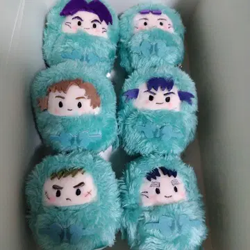 닌자 타마 6학년 싸개 타피누이
