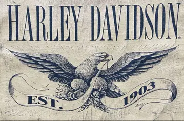 Harley Davidson 3D 80s 이글 디자인 티셔츠