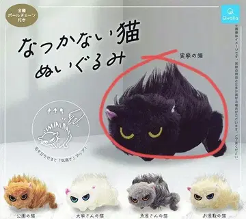 가챠 나츠카나이 고양이 봉제 인형 본가의 고양이 검은 고양이