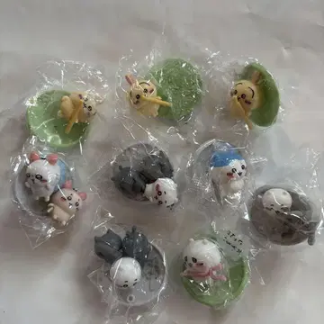 치이카와 (먼작귀) 초코 사프