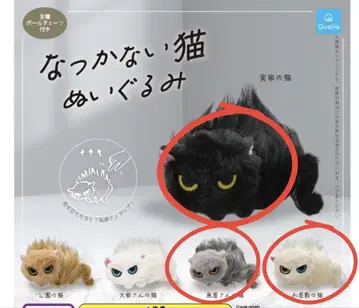나츠카나이 고양이 봉제 인형 3종 세트
