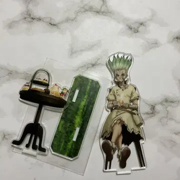Dr.STONE 닥터 스톤 이시가미 치쿠사 오후 티