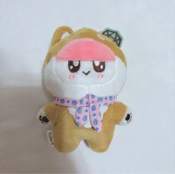 세븐틴 모자 꽁지 개