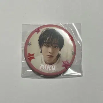 NCTWISH WISHFUL 팝업 캡슐 토이 리쿠 캔 배지