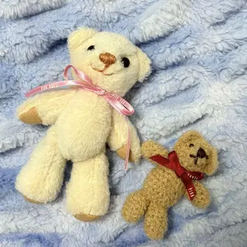 PINK HOUSE 곰돌이 브로치 2개