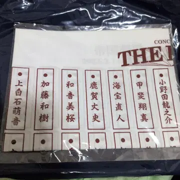 테이게키 네이비 THE 손수건