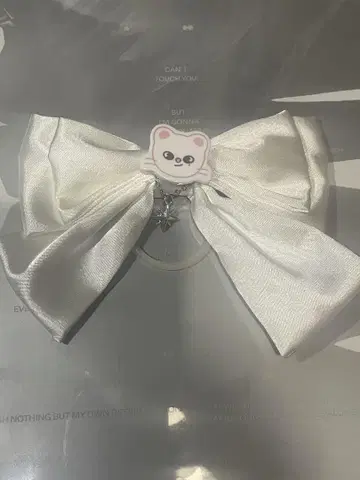 straykids 서울 콘 응원봉 리본 지니 레트 현진