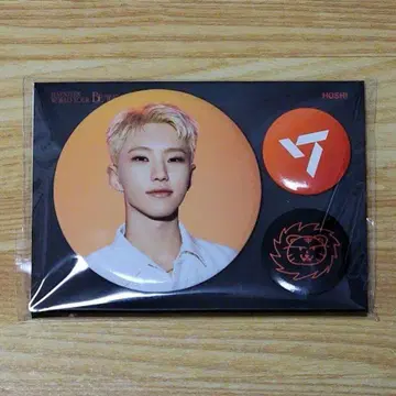 SEVENTEEN BE THE SUN 캔뱃지 호시