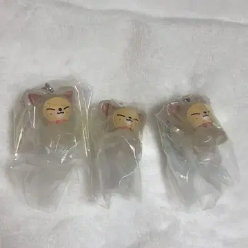 skzoo 메지루시 액세서리 아이엔 폭시니 FoxINy 3개