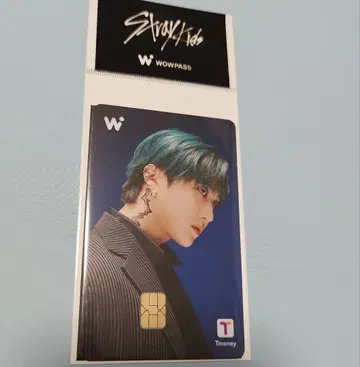 Stray Kids WOWPASS 와우패스 스키즈 공식 카드  장빈