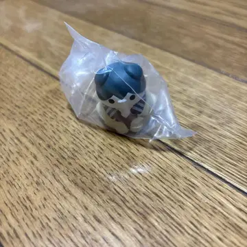 사카모토 고양이 남운