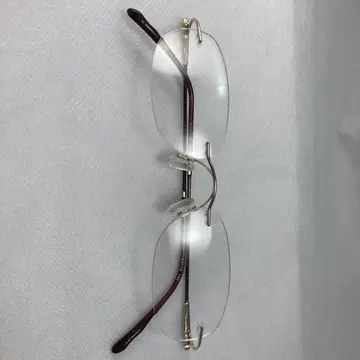 니콘