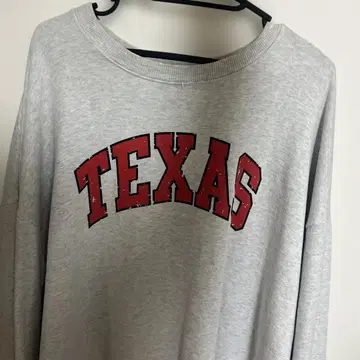 D'GARMENT 텍사스 로고 맨투맨 그레이