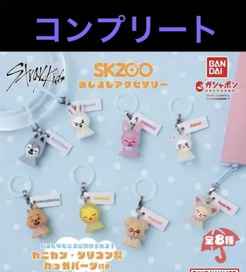 skzoo 스키즈 가챠 팝업 메지루시 액세서리 컴플리트