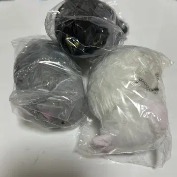 낯을 가리는 고양이 봉제 인형 3 세트