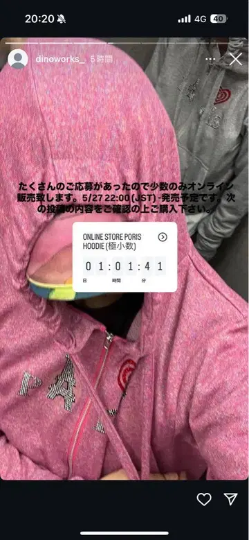 dinoworks paris hoodie