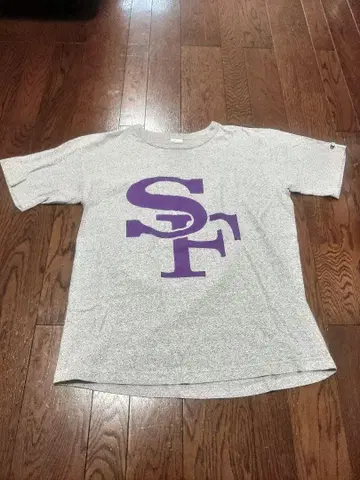 Champion 1011 SF 티셔츠 L 그레이 보라색