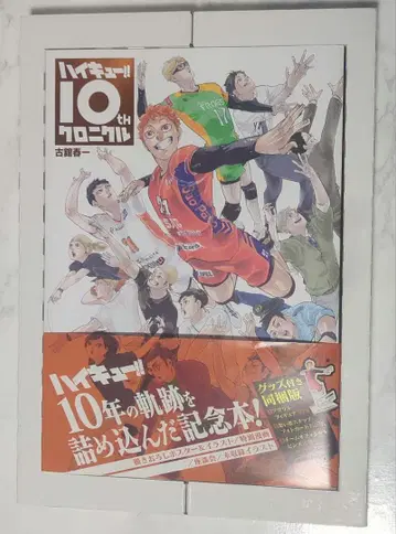 하이큐 크로니클 도서
