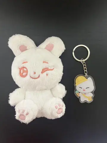 ENHYPEN 마스터 봉제 인형 선우
