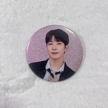seventeen 원우 캔뱃지 holiday