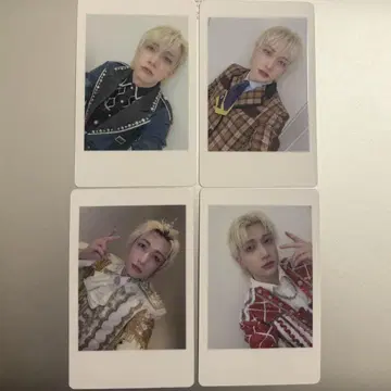팬더드래곤 요우타 하피카