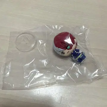 히로아카 토도로키 쇼토 뇨킨토