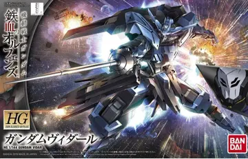 HG 1/144 건담 비다르