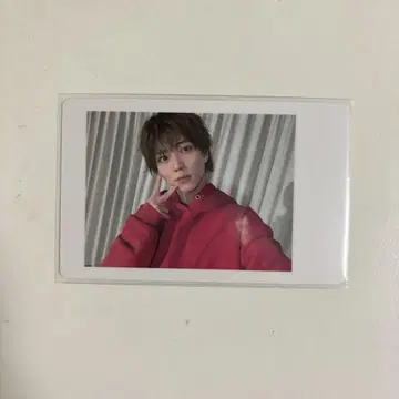 팬더 드래곤 파치 하피카 파라곤