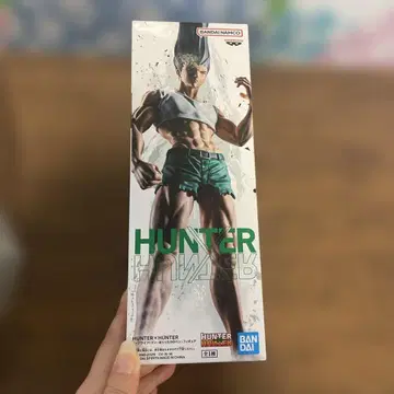 HUNTER x HUNTER 피그라이프