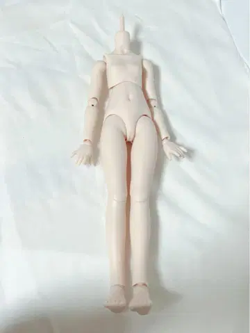 MDD 바디 2.0 (DD-f3) 세미 화이트 피부