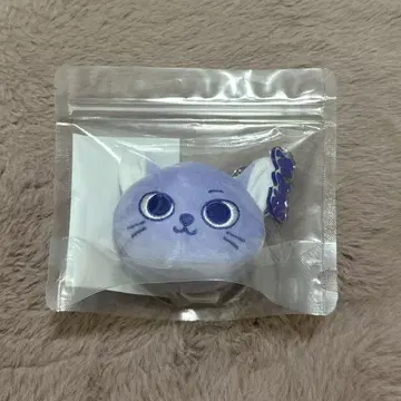 BOYNEXTDOOR FACE KEYRING 성호 CATBBI