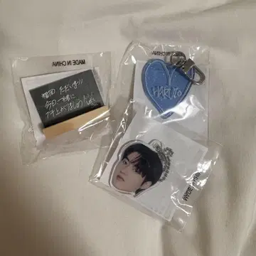 TREASURE HARUTO 캡슐 토이