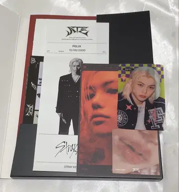 스키즈 필릭스 ate 묶음 판매