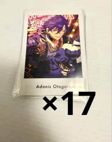 아도니스 17
