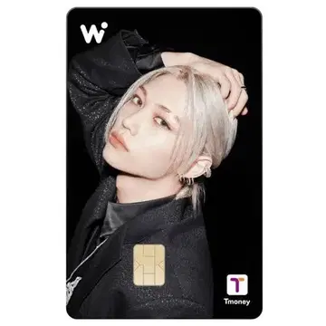 wowpass 필릭스 Felix 미개봉 새상품