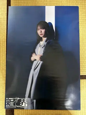 모리타 히카루 사쿠라자카46 신세카이 포스터 가격 인하 가능!
