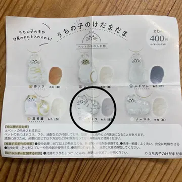 우리 아이는 아직 새끼 고양이입니다 사바토라 가챠가챠