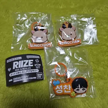 RIIZE 통통 메지루시 액세서리 성찬