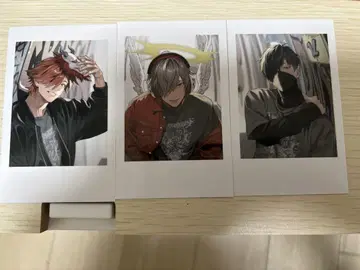crazy raccoon CR 락의 날 묶음 판매