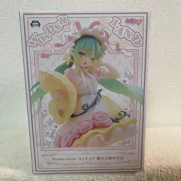 하츠네 미쿠 WONDERLAND 피규어 잠자는 숲속의 공주