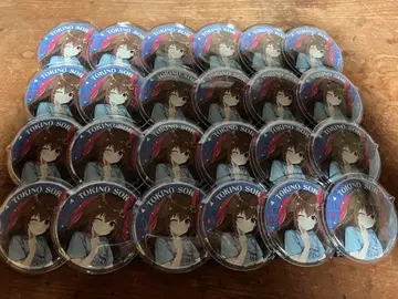 토키노 소라 홀로시티 캔뱃지 24개