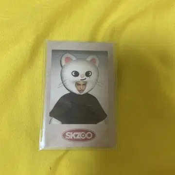 straykids 현진 펜미 폴라로이드
