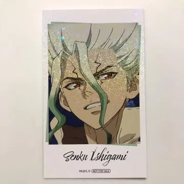 Dr.STONE 파보테리아 특전 이시가미 치쿠