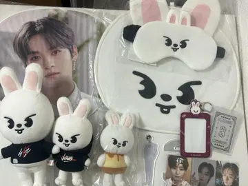 스키즈 리노 Lee 비트 굿즈