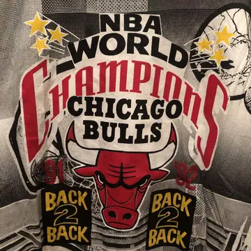 CHICAGO BULLS 손으로 인쇄한 티셔츠 NBA